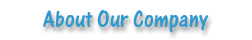 Company information